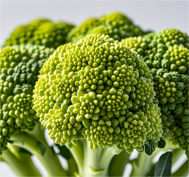 1720404365358563.png 西兰花.png